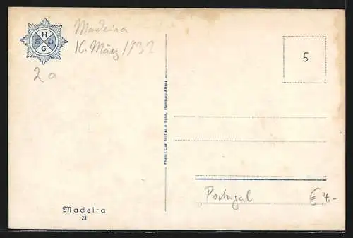 AK Madeira, Teilansicht mit Ochsengespann