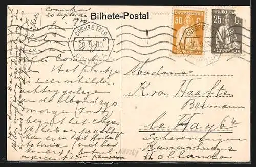 AK Coimbra, Vista Geral