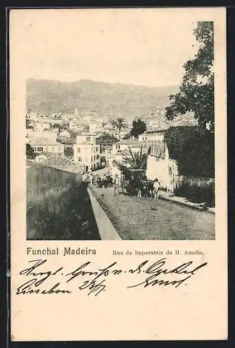AK Funchal /Madeira, Rua da Imperatriz de M. Amalia