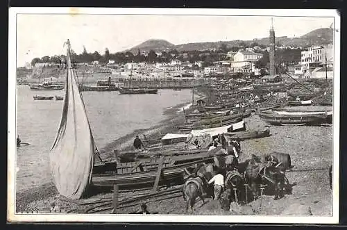 AK Funchal, Boote am Strand im Hafen