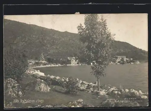 AK Balholmen i. Sogn., Uferpartie mit Blick auf den Ort