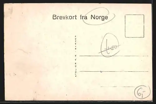 AK Fjoerland, Panorama mit Sogn