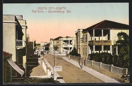AK Tel-Aviv, Grusenberg Strasse mit Wagen