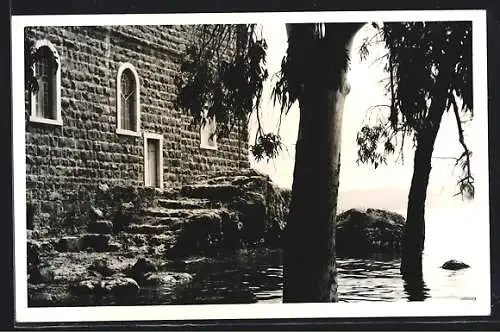 AK Tabgha, Church of St. Peter`s Primacy