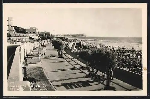 AK Tel-Aviv, On the Seaside