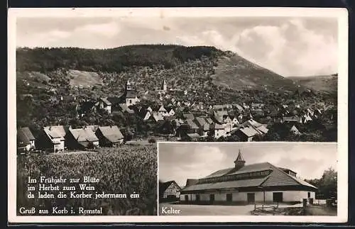 AK Korb i. Remstal, Gasthaus Kelter, Teilansicht