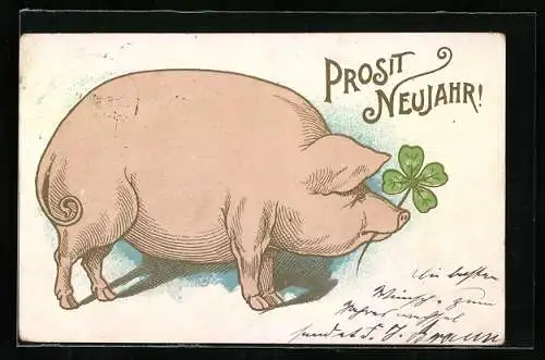 AK Schwein mit vierblättrigem Kleeblatt wünscht Prosit Neujahr