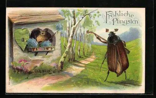 AK Maikäfer bringt der Liebsten ein Ständchen, Pfingstgruss
