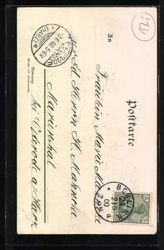 AK Maikäfer schaut mit Fernglas ins weite Tal