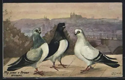 Künstler-AK sign. O. Svoboda: My jsme v Praze zrozeni, Tauben