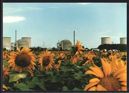 AK Biblis /Hessen, RWE-Atomkraftwerk im Sonnenblumenfeld
