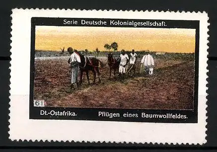 Reklamemarke Deutsch-Ostafrika, Pflügen eines Baumwollfeldes, Serie: Deutsche Kolonialgesellschaft, Bild 61