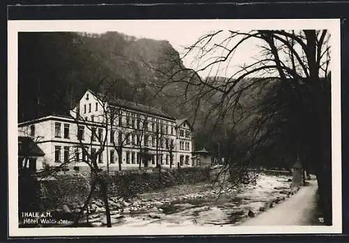 AK Thale a. H., Hotel Waldkater