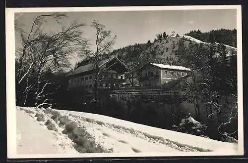 AK Unterwössen / Obb. Gasthaus-Pension Daxenberg