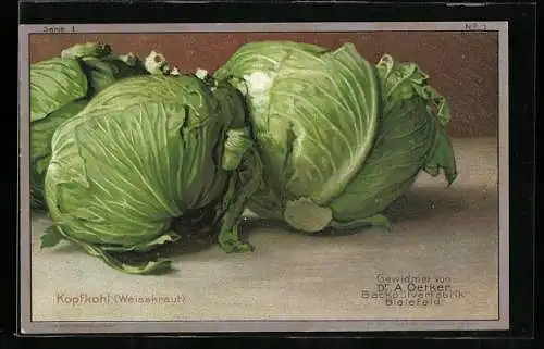 Vertreterkarte Bielelfeld, Dr. Oetker, Kopfkohl /Weisskraut), Rückseite Dr. Oetkers Vanillinzucker