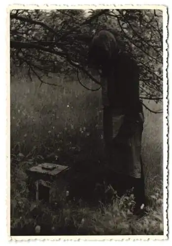 7 Fotografien Imker in Schutzkleidung bei der Arbeit und beim sprühen von Schutzmitteln, Bienenstock, Beekeeper