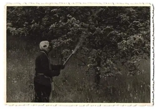 7 Fotografien Imker in Schutzkleidung bei der Arbeit und beim sprühen von Schutzmitteln, Bienenstock, Beekeeper