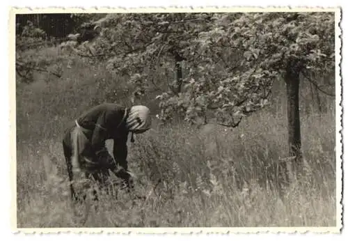 7 Fotografien Imker in Schutzkleidung bei der Arbeit und beim sprühen von Schutzmitteln, Bienenstock, Beekeeper