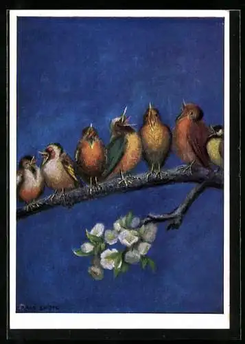 Künstler-AK Maria Spötl: Vögel zwitschern auf einem Ast