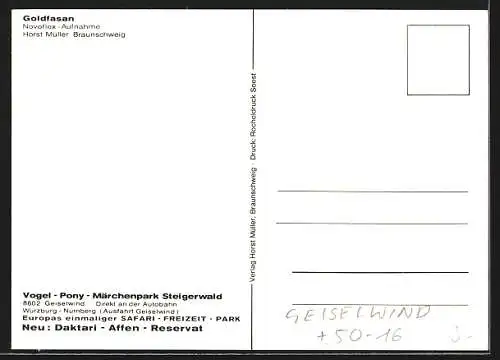 AK Geiselwind, VPM-Park Steigerwald, Goldfasan