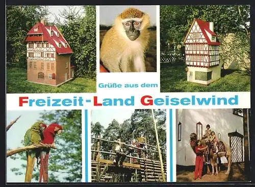 AK Geiselwind, Freizeit-Land, Papageien, Kamelreiten