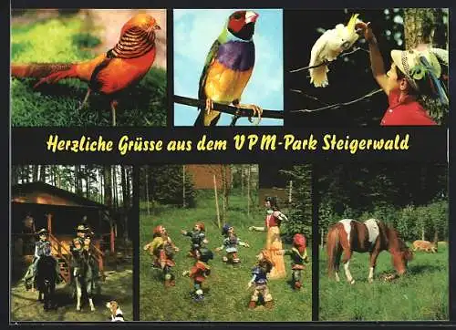 AK Geiselwind, VPM-Park Steigerwald, Vögel, Ponys