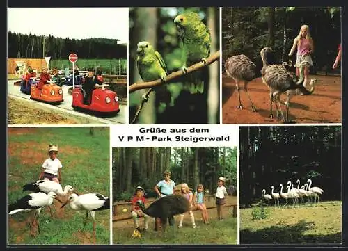 AK Geiselwind, VPM-Park Steigerwald, Papageien, Störche, Flamingos