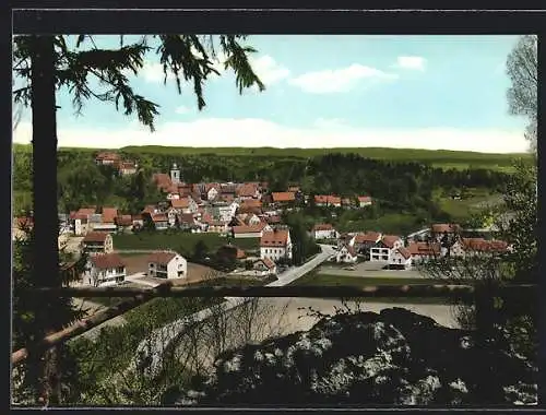 AK Betzenstein /Fränk. Schweiz, Ortsansicht mit Gasthof-Brauerei zum Löwen