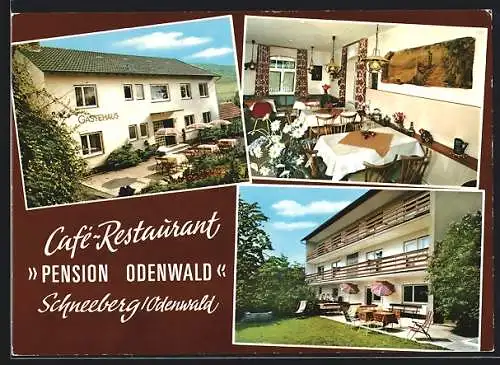 AK Schneeberg /Odenwald, Drei Ansichten vom Cafè-Restaurant Pension Odenwald