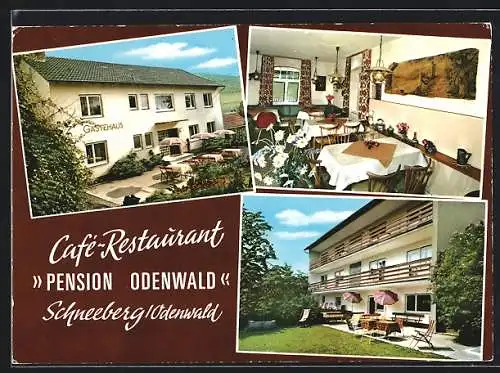 AK Schneeberg bei Amorbach, Pension Odenwald, Bes. Familie Röcklein