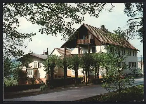 AK Elsbach b. Erbach, Wald-Gasthaus Erholung von Wilhelm Kessler