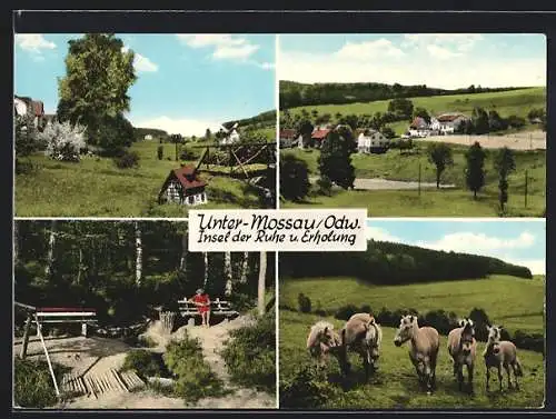 AK Unter-Mossau /Odw., Ortspartie mit Mühle, Ponies auf der Weide, Ortsansicht