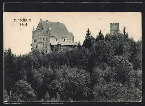 AK Mindelheim, Schloss