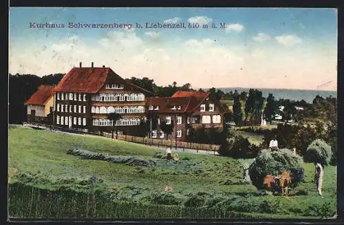 AK Liebenzell, Kurhaus Schwarzenberg mit Umgebung