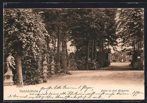 AK Veitshöchheim, Partie aus dem Hofgarten