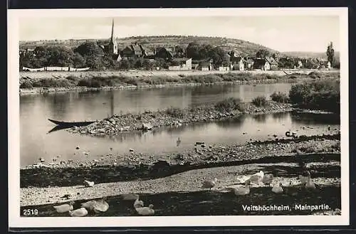 AK Veitshöchheim, Mainpartie