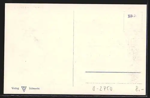 AK Schwerin i. M., Schloss Stadtseite