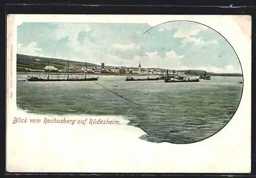 AK Rüdesheim / Rhein, Blick vom Rochusberg auf den Ort
