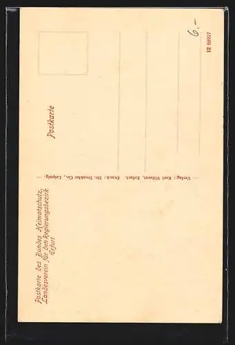 AK Erfurt, Strassenpartie an der Martinikirche