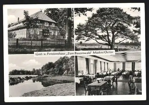 AK Müden / Örtze, Gasthaus & Pension Zum Bauernwald