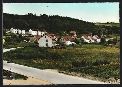 AK Waischenfeld /Fränk. Schweiz, Partie am Ortseingang