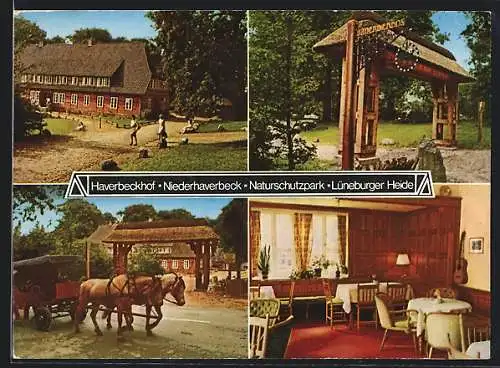 AK Niederhaverbeck /Lüneburger Heide, Gasthof Haverbeckhof im Naturschutzpark