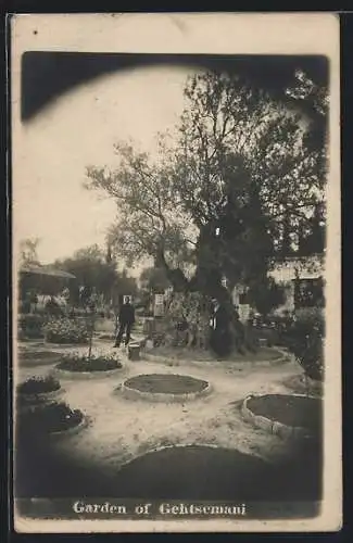 AK Gehtsemani, Garden