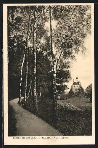 AK Alt-Ruppin, Waldweg mit Blick auf die Kirche