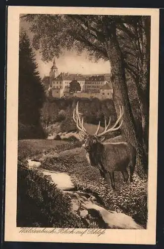 AK Waldenbuch, Blick auf das Schloss mit Hirsch