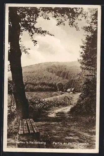 AK Schönau b. Heidelberg, Partie an der Lindenbach