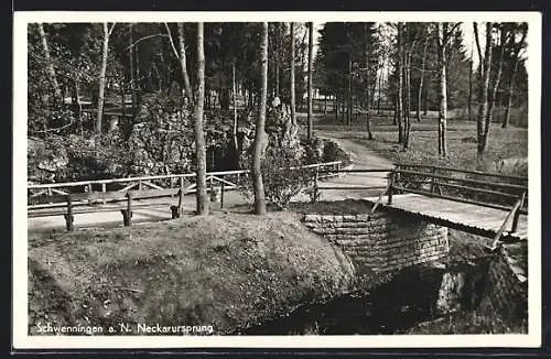 AK Schwenningen / Neckar, Neckarursprung mit Parkanlage und Brücke1