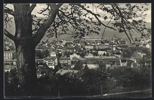 AK Lörrach, Totalansicht von oben