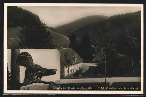 AK Sirnitz bei Badenweiler, Gasthaus zum Auerhahn aus der Vogelschau, Auerhahn auf einem Baum