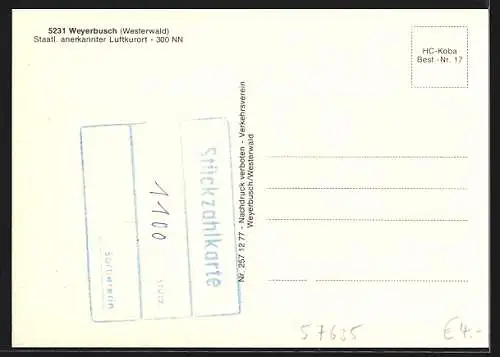 AK Weyerbusch /Westerwald, Strassenpartie